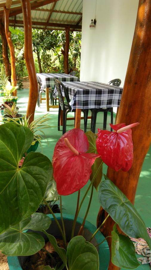 Amaya River Side Homestay Sigiriya Exterior foto