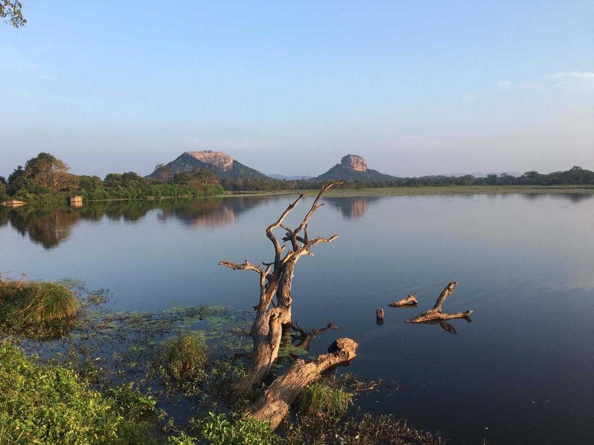 Amaya River Side Homestay Sigiriya Exterior foto